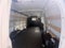 2024 Chevrolet Express Cargo 2500 Base